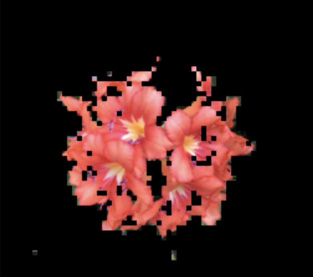 Image for Extracting Features from 2D Flower