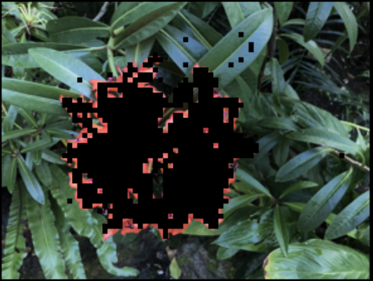 Image for Extracting Features from 2D Leaf